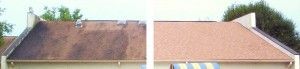 before and after using roof a cide